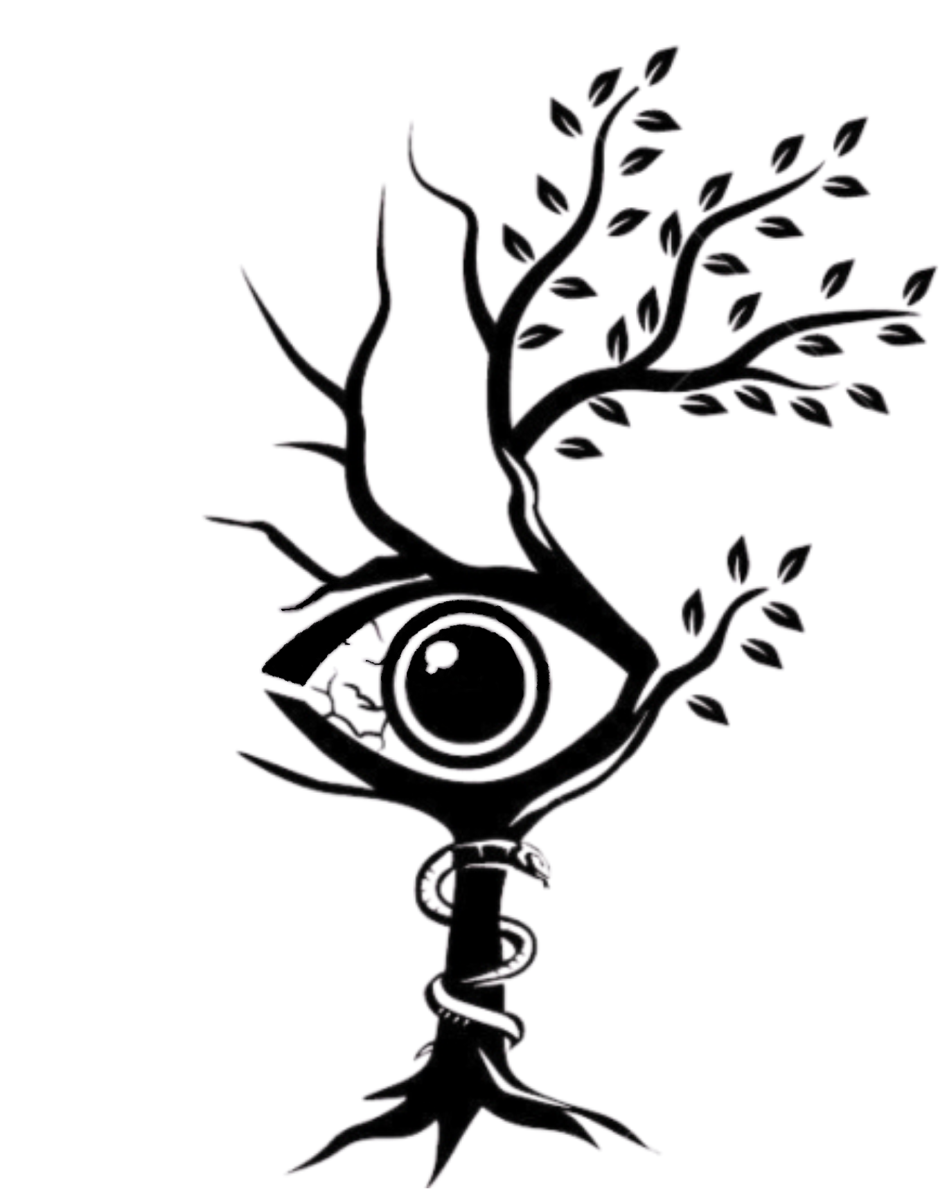 dry eye  help